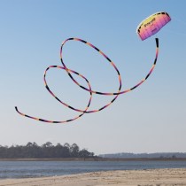 Synapse140plasmawtail_5867129c-833b-44ec-b2d0-5e8b7da0c134-1100x1100